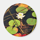 "Ethereal Lily Pad Pond mit Central White Blossom Magnet (Vorne)