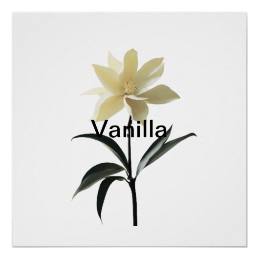 Ethereal Magnolia Grace Poster (Vorderseite)