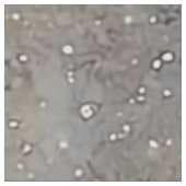 Ethereal-Profil für Löwen und Halbmond Stoff (Nahaufnahme)