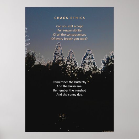 Ethics and the butterfly effect poster (Vorne)