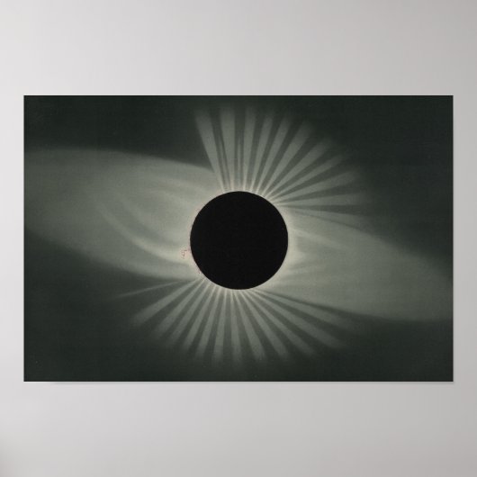 Etienne Leopold Trouvelot - Total Eclipse Poster (Vorne)