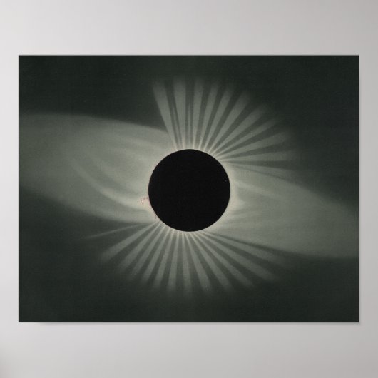 Etienne Leopold Trouvelot - Total Eclipse Poster (Vorne)
