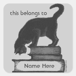 Etikett "Cat on Books" Quadratischer Aufkleber