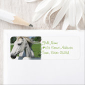 Etikett der Rücksendeadresse für Weißes Pferd (Insitu)