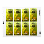 Etikett der Weinflasche (Vorne)