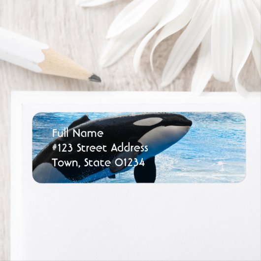 Etikett der Whale-Rücksendeadresse (Insitu)