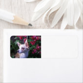 Etikett "Eigenes Foto hinzufügen" (Insitu)