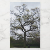 Etikett für Baumlebensmittelbehälter (Einzelnes Label)