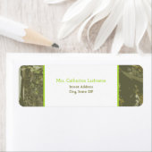 Etikett für Camouflage und helle grüne Adresse (Insitu)