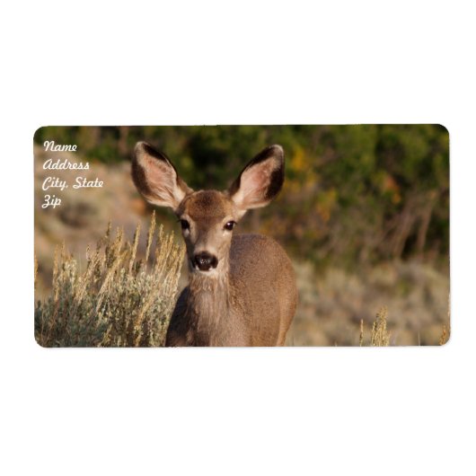 Etikett für den Tiertransport (Vorne)