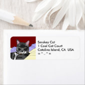 Etikett für die Adresse der Smokey-Katze (Insitu)