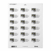 Etikett für die Adresse des grauen und weißen Kitt Adressaufkleber (Vorne)