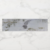 Etikett für die Alligator-Flasche (Einzelnes Label)