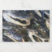 Etikett für die Alligator-Flasche (Einzelnes Label)