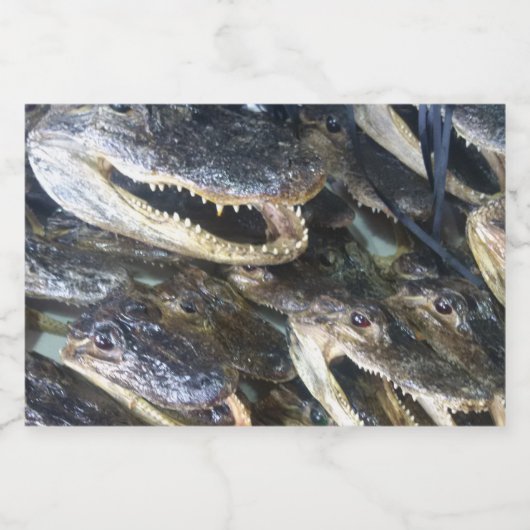 Etikett für die Alligator-Flasche (Einzelnes Label)