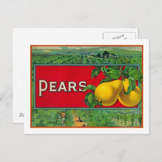 Etikett für die Birnenkiste Postkarte (Vorne/Hinten)