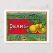 Etikett für die Birnenkiste Postkarte (Vorderseite)