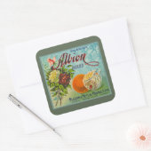 Etikett für die Fruchtkorbe Albion Orange Quadratischer Aufkleber (Umschlag)