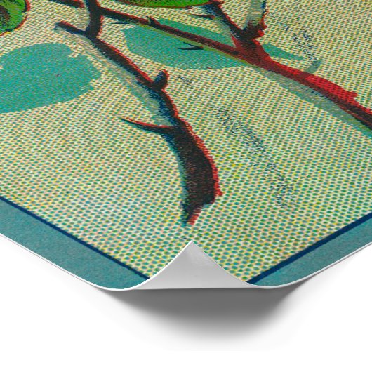 Etikett für die Marke Albion Citrus Crate Poster (Ecke)