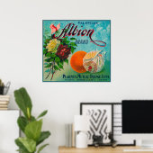 Etikett für die Marke Albion Citrus Crate Poster (Heimbüro)