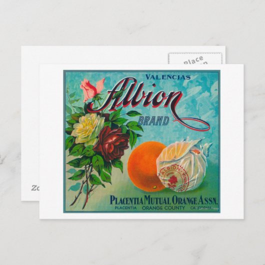 Etikett für die Marke Albion Citrus Crate Postkarte (Vorne/Hinten)