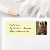 Etikett für die Rückgabe arabischer Pferde (Insitu)