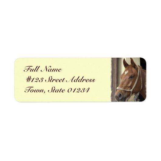 Etikett für die Rückgabe arabischer Pferde (Vorne)