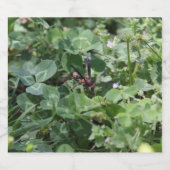 Etikett für Flaschen (Einzelnes Label)