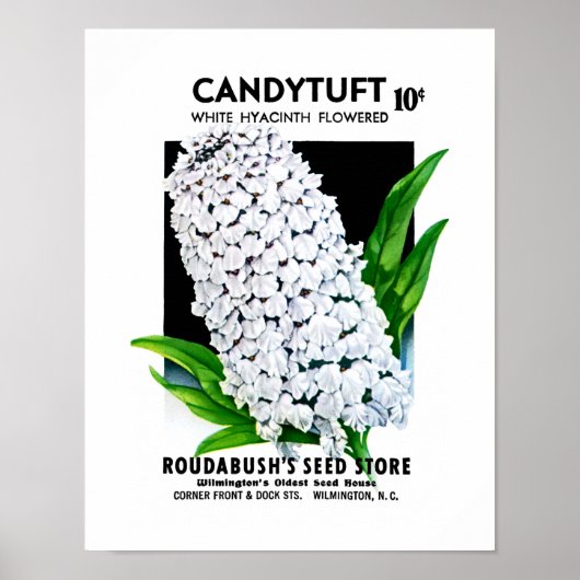 Etikett für Kandytuft-Saatgut Poster (Vorne)