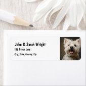 Etikett für Niedliche West-Highland-White-Dog-Adre (Insitu)