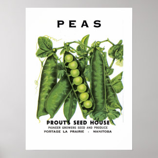 Etikett für Peas-Saatgut Poster