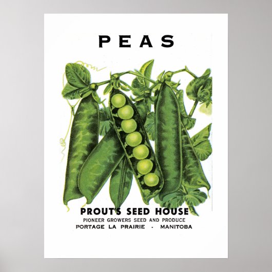 Etikett für Peas-Saatgut Poster (Vorne)