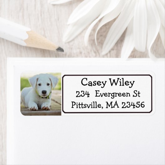 Etikett für personalisierte Haustiere oder Hunde (Insitu)