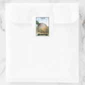 Etikett für Rübenkernpackungen Quadratischer Aufkleber (Tasche)