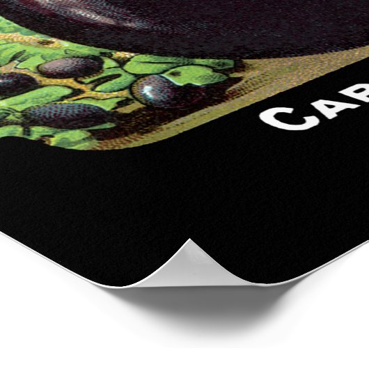 Etikett für Saatgutpackungen von Eierstöcken Poster (Ecke)