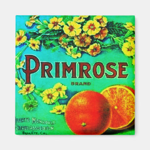 Etikett für Vintage Orangen mit Blumenbezug Magnet