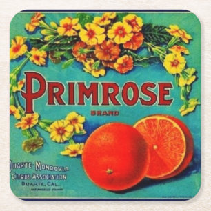 Etikett für Vintage Orangen Rechteckiger Pappuntersetzer