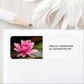 Etikett für Wasserlilie (Insitu)