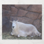 Etikett für Ziegenflaschen (Einzelnes Label)