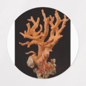 Etiketten (Design 2)