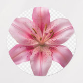 Etiketten (Design 2)