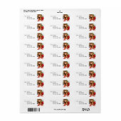 Etiketten 10-003 (Vorne)