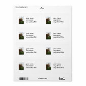 Etiketten für Pferde (Vorne)