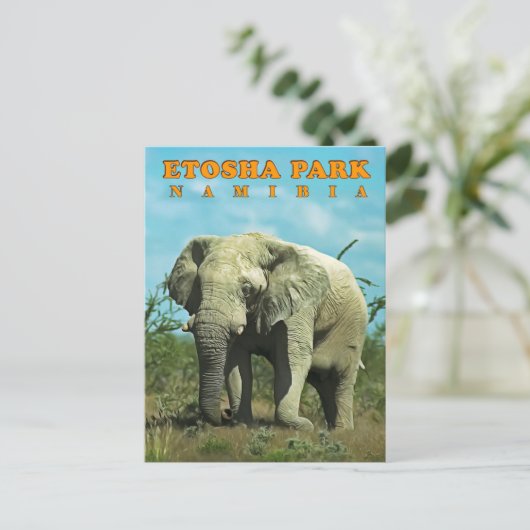Etosha, Namibia Postkarte (Stehend Vorderseite)