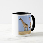 Etosha Nationalpark, Namibia 3 Tasse (VorderseiteRechts)