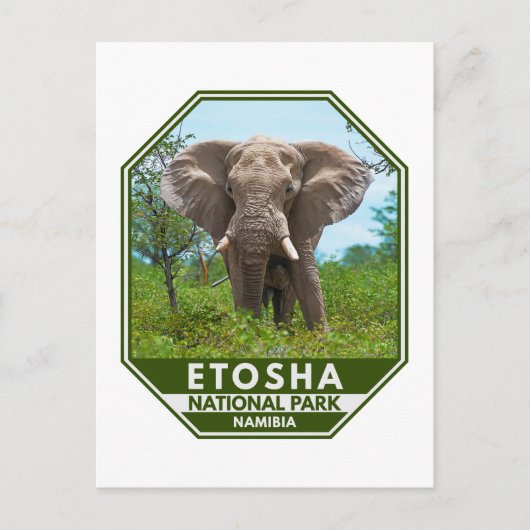 Etosha Nationalpark Namibia Elephant Watercolor Postkarte (Vorderseite)