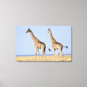 Etosha Nationalpark, Namibia Leinwanddruck
