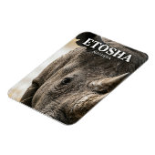 Etosha-Nationalpark Namibia Magnet (Linke Seite)
