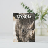 Etosha-Nationalpark Namibia Postkarte (Stehend Vorderseite)