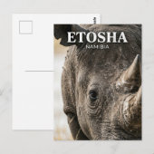 Etosha-Nationalpark Namibia Postkarte (Vorne/Hinten)
